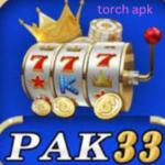 pak33 game