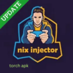 NIX injector