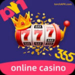 JILIEVO app