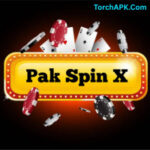 Pak Spin X Game