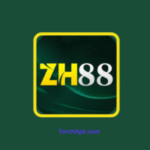 ZH888 Game