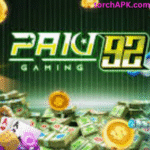 Paki 92 APK