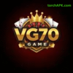 VG70 Game