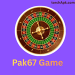 Pak67 Game
